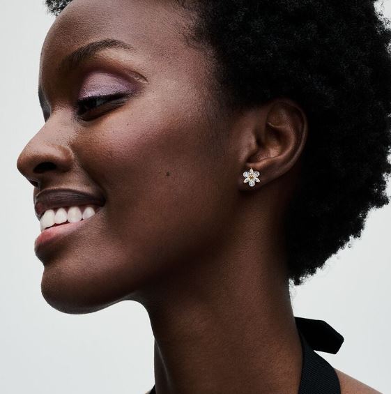 Funklende Herbarium Klynge Ørestikker