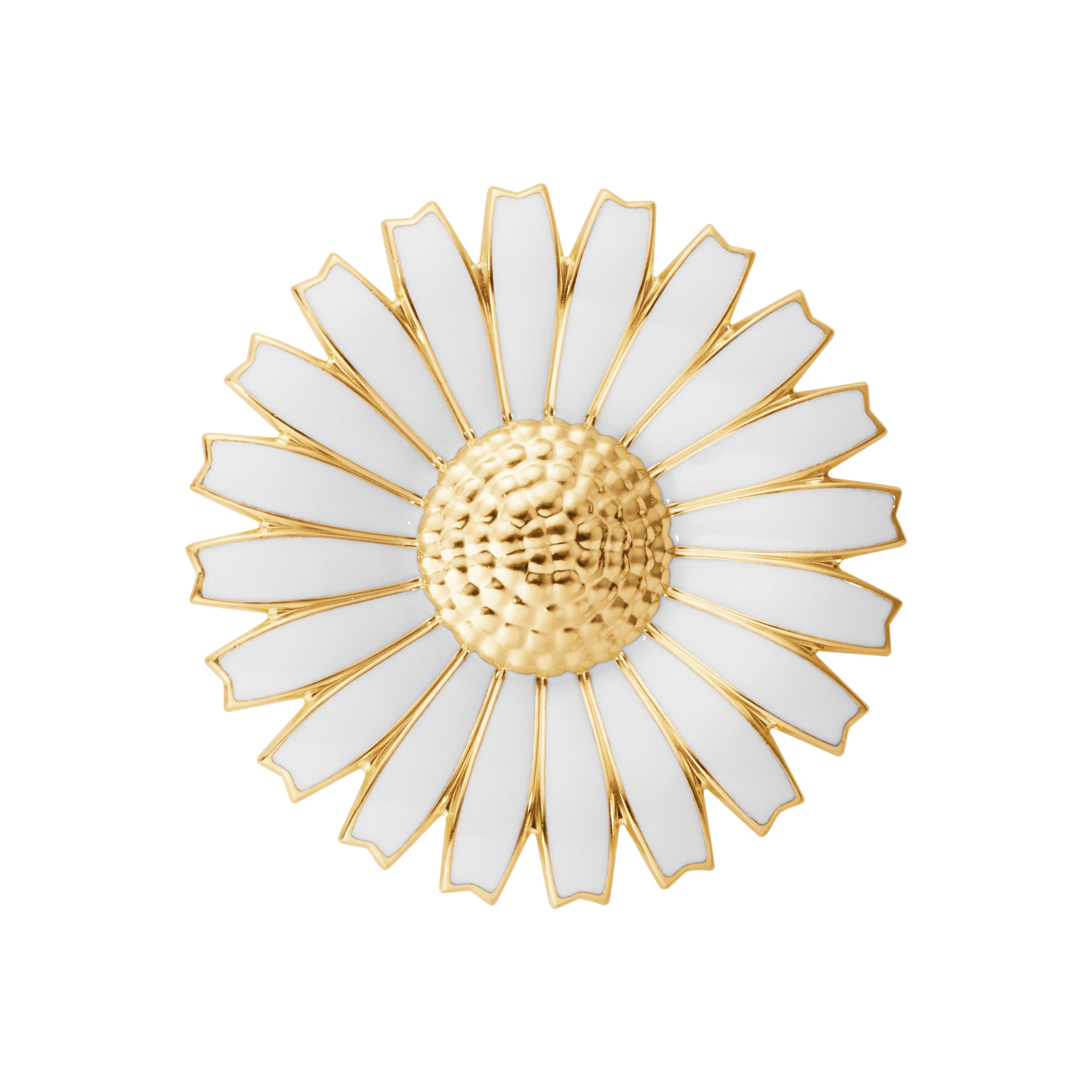 DAISY mindebroche