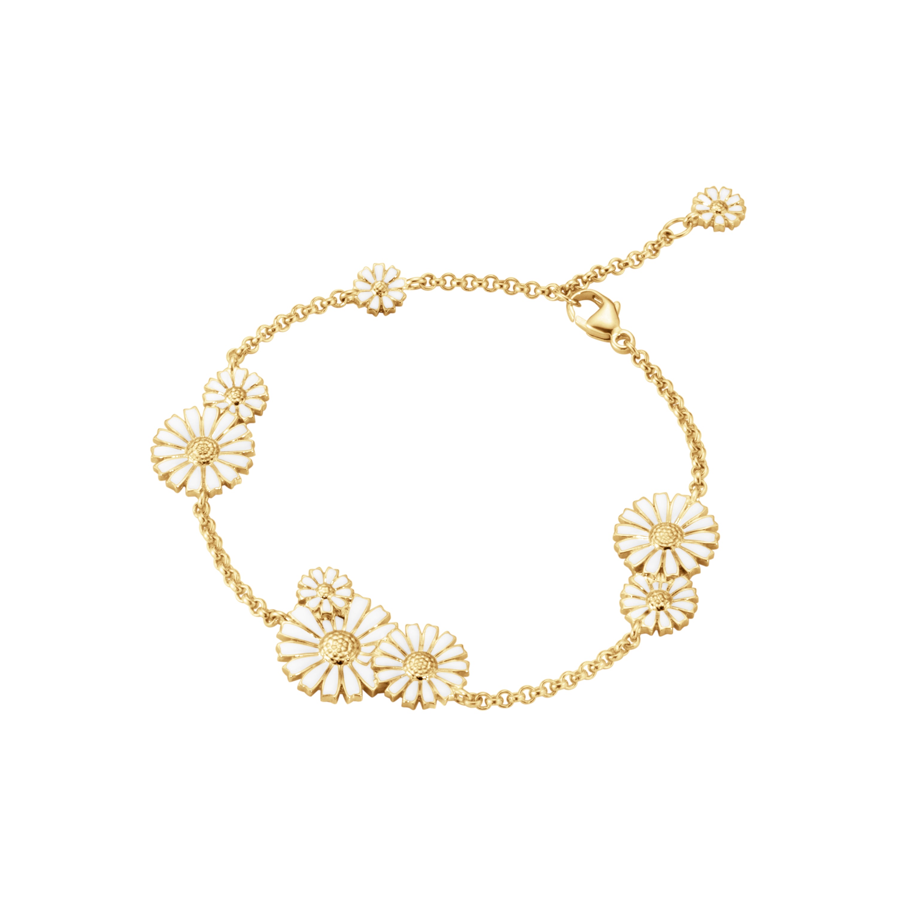 DAISY Armbånd