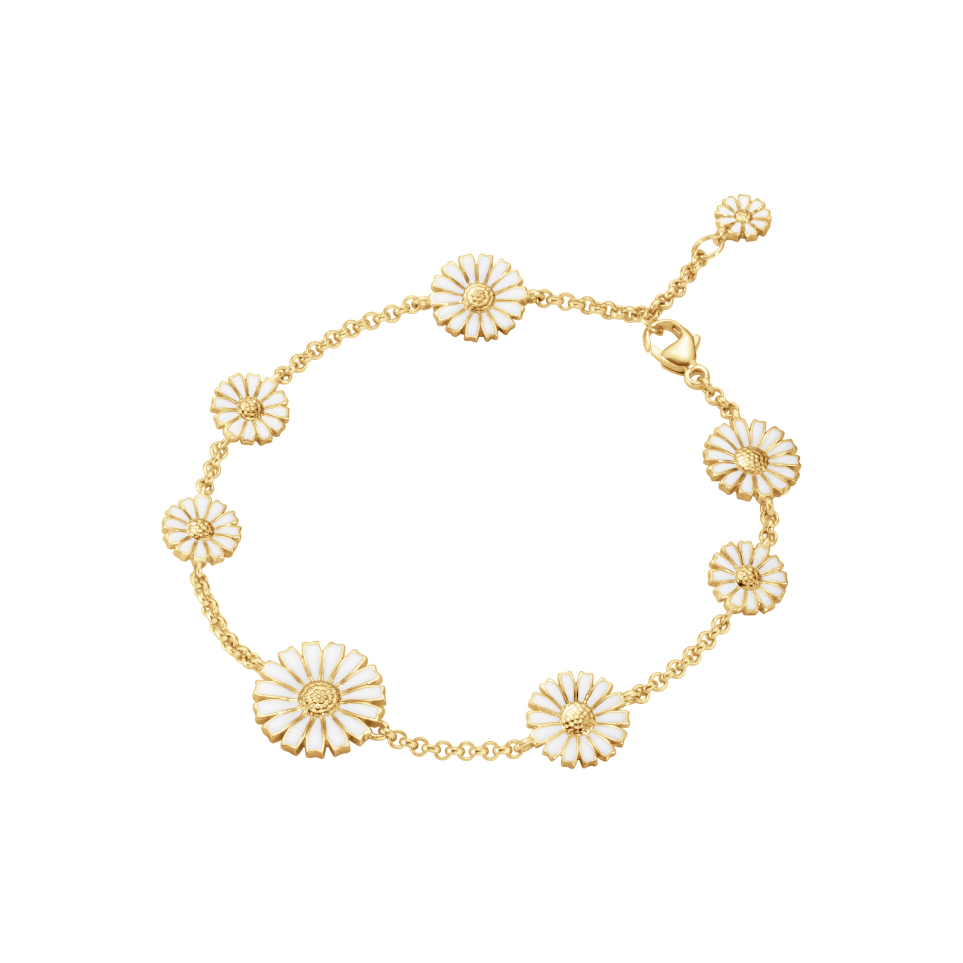 DAISY Armbånd