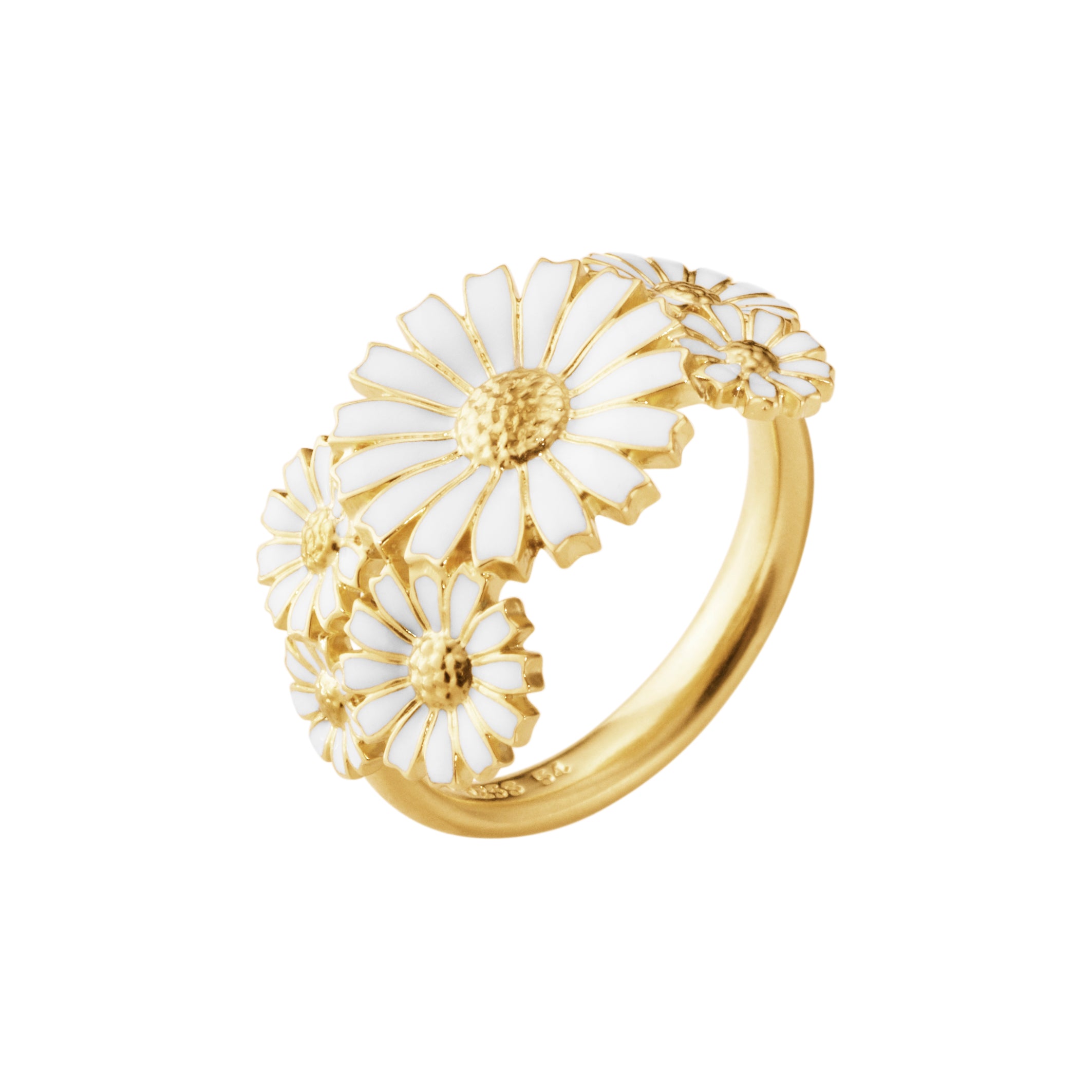 DAISY Ring i lag