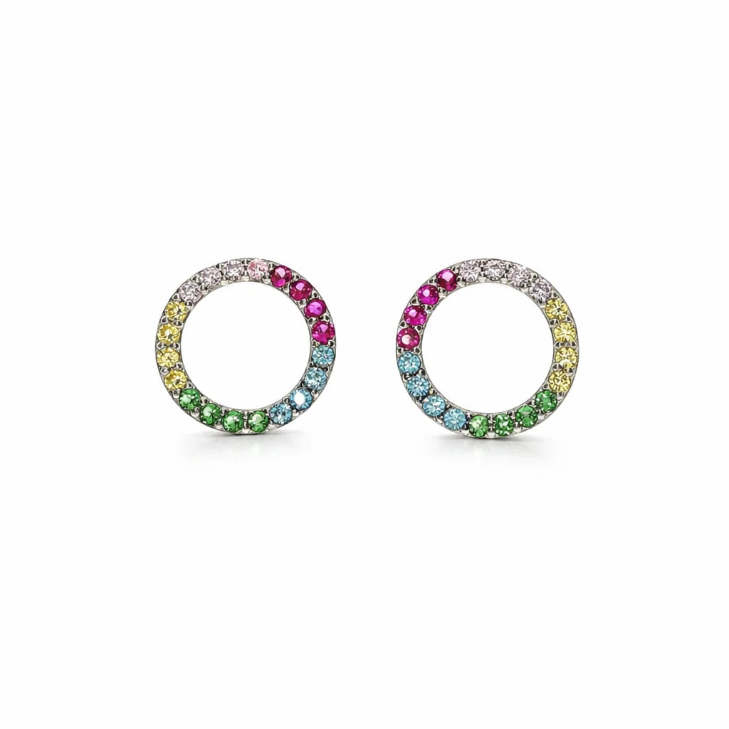 Sølv Multicolor Cirkelørestikker