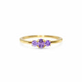 Forgyldt Lilla Tidens Ring