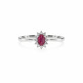 14 Karat Hvidguld Rubin Roset Ring