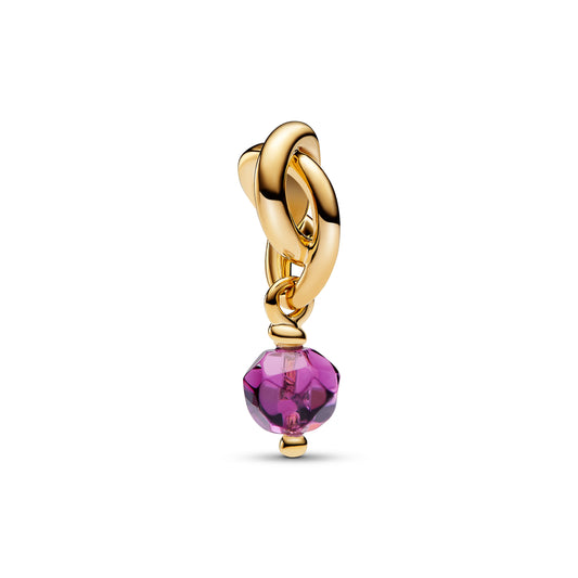 Facetteret Lilla Evighedscirkel Charm