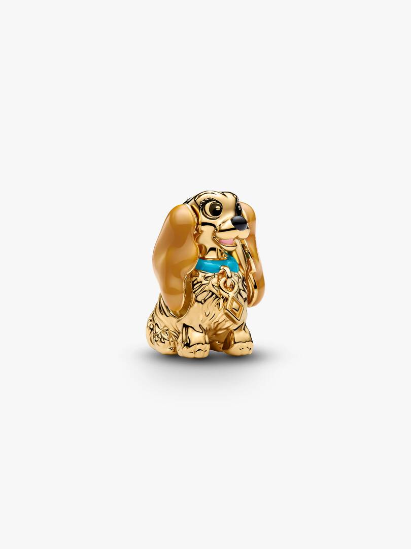 Disney Lady Charm