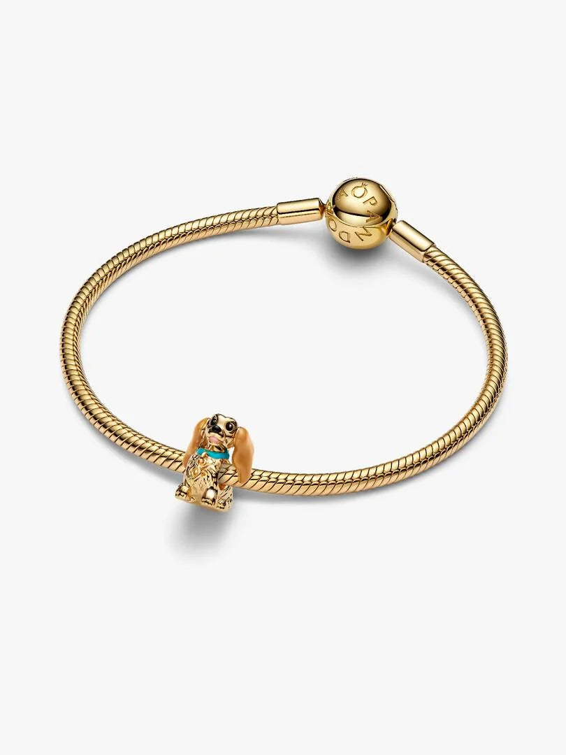 Disney Lady Charm