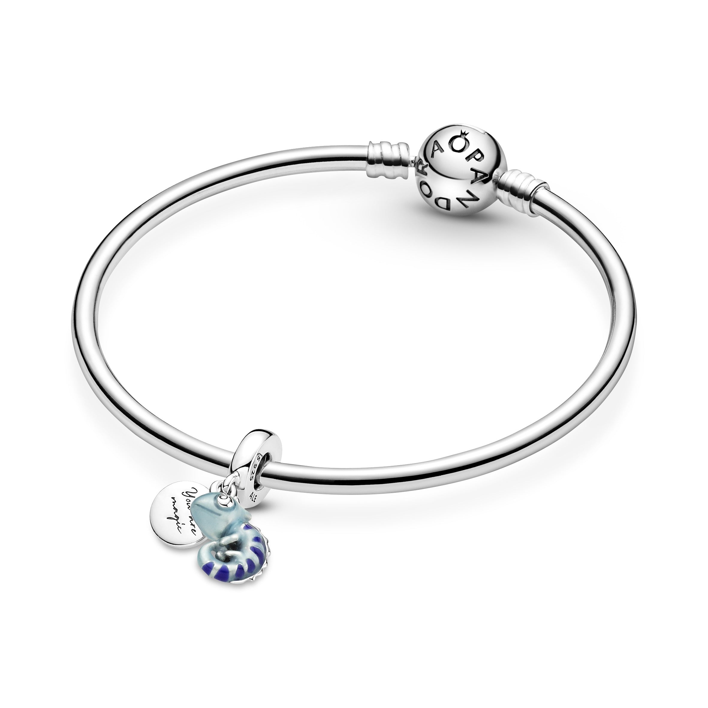 Farveskiftende Kamæleon Charm