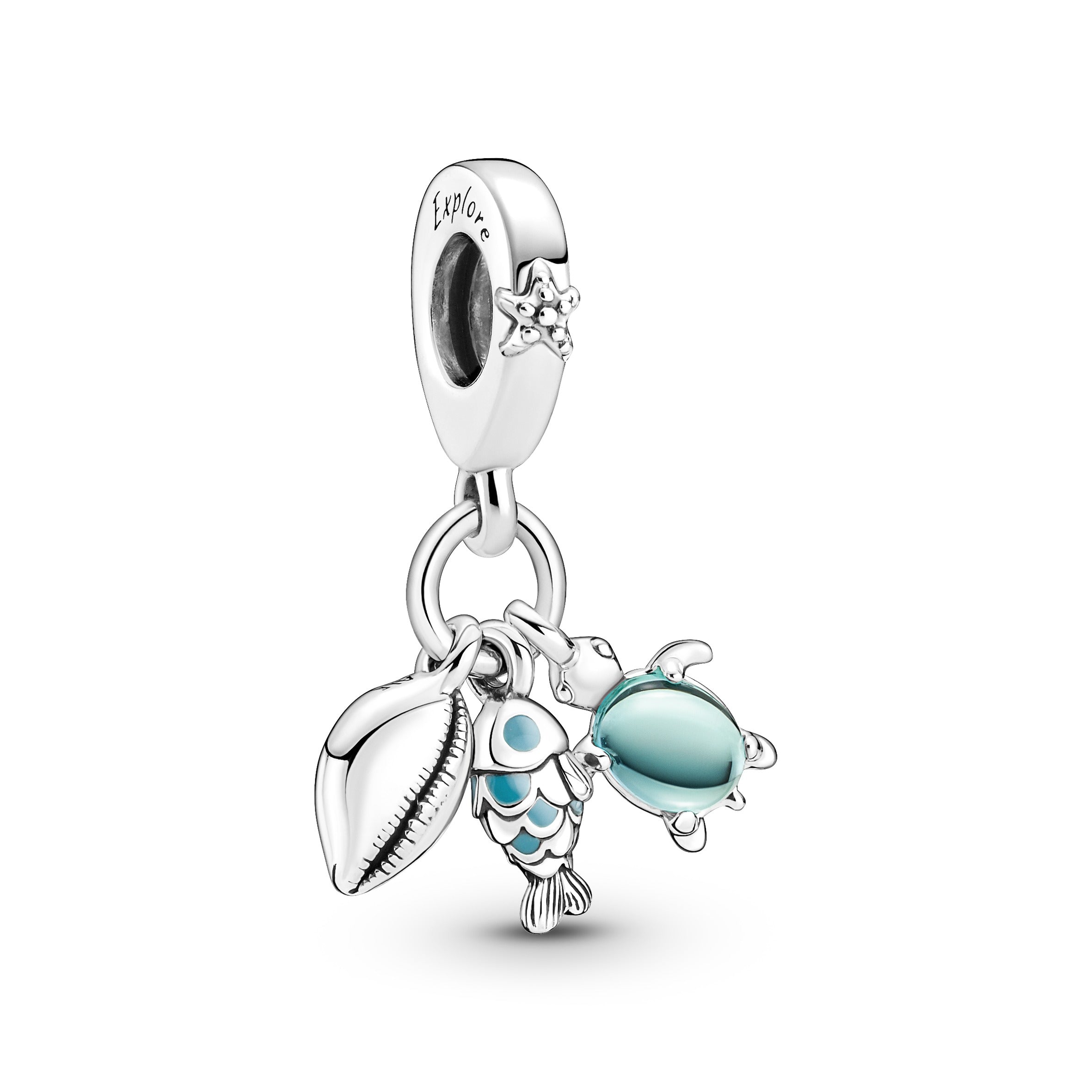Fisk, Havskildpadde & Konkylie Charm