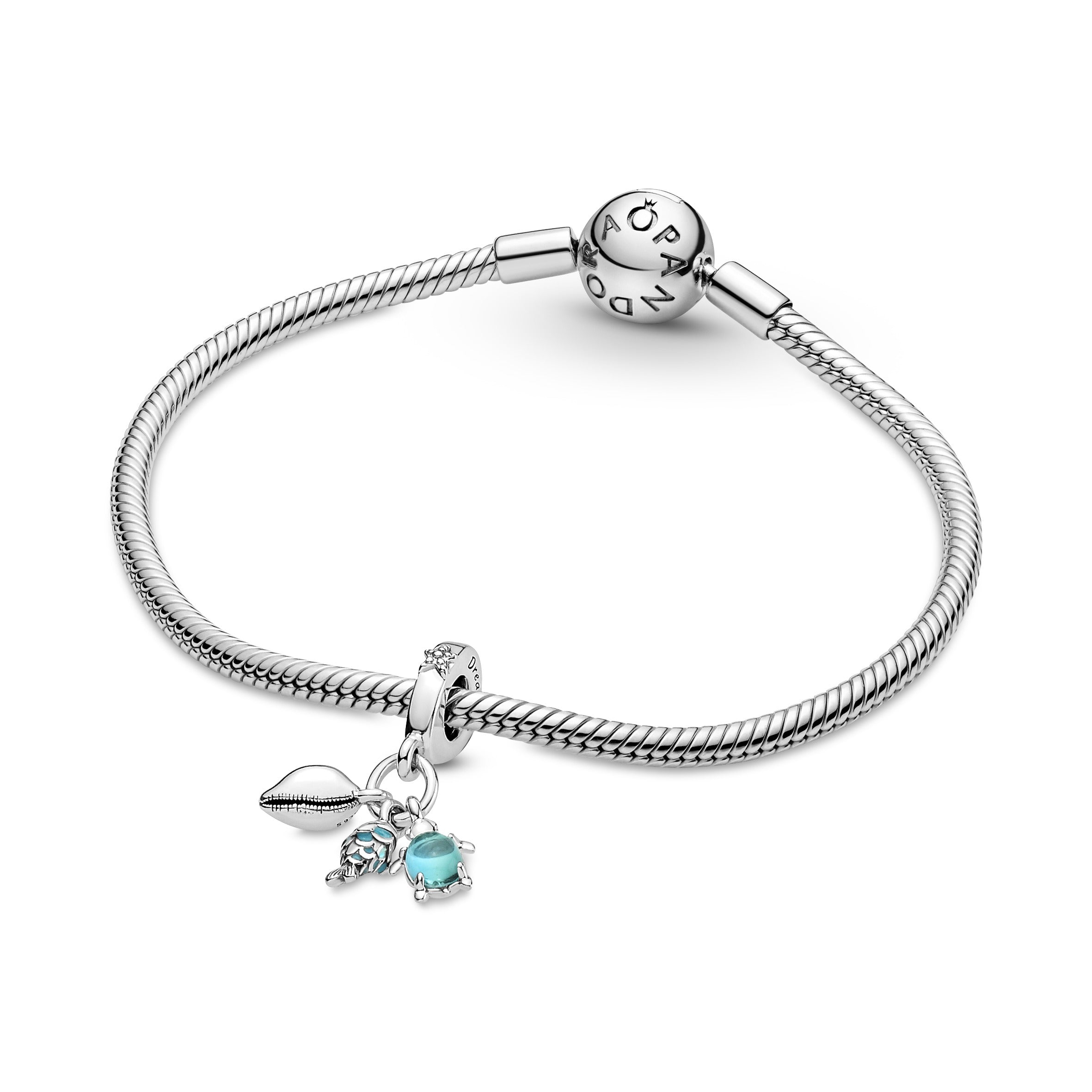 Fisk, Havskildpadde & Konkylie Charm